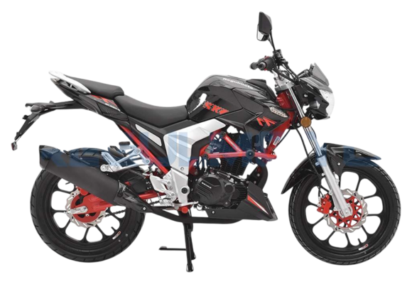 Мотоцикл Regulmoto Raptor 250 NEW Черный pitbikemarket.ru