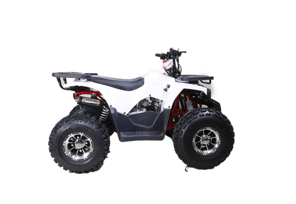 Квадроцикл TAO MOTOR HUNTER 125 pitbikemarket.ru