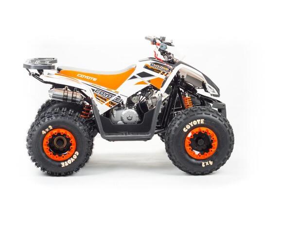 Квадроцикл TAO MOTOR COYOTE 150 pitbikemarket.ru